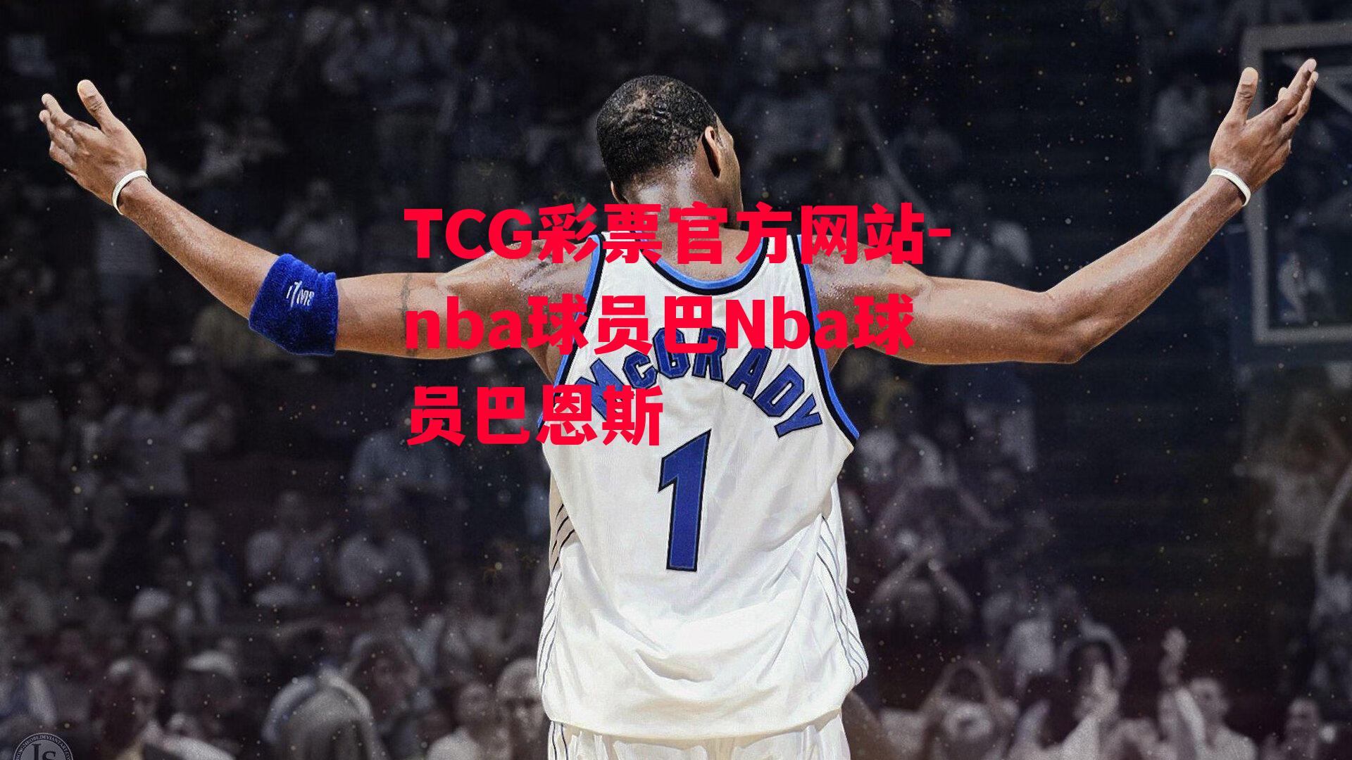 nba球员巴Nba球员巴恩斯